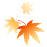 maple leaf 1 image